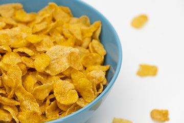 Golden cornflakes in the blue bowl isolated on white background