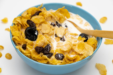 Cornflakes resin and dry prunes with fresh milk in the blue bowl on white background