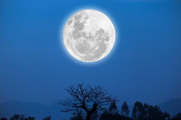 Lune brillante floue sur fond de ciel bleu avec des arbres en silhouette.
