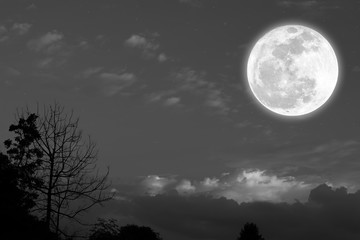 Naklejka na ściany i meble Full moon on the sky with silhoutte nature.