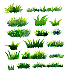Collection plant shrub symbols of Landscape architect for decorate garden. Watercolor hand drawn painting with brushes strokes. Colorful splashing in the paper.It's wet texture background.