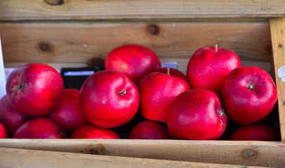 Fresh apple fruits for sale at street market