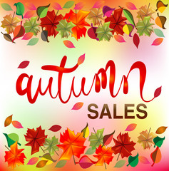 Autumn colorful fall leafs season greetings card holidays celebrations banner template vector image