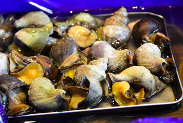 Edible sea snails seafood at Japanese market