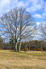 Autumn scenery of Aomori, Japan