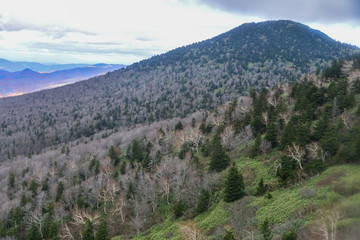 Scenery of Hakkoda Mountains in autumn