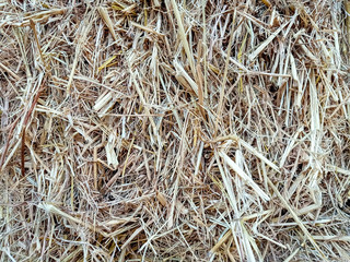 background of straw