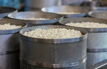 Making delicious cheese at a cheese factory. Selective focus