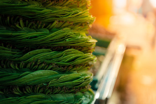 A spiral of betel leaves in Yangon., Betel green leaves packed in a basket for sale at Yangon street market, Myanmar.