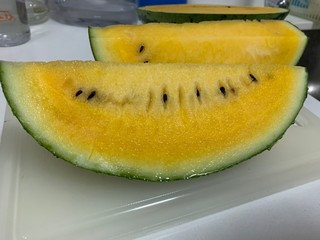 Yellow watermelon 