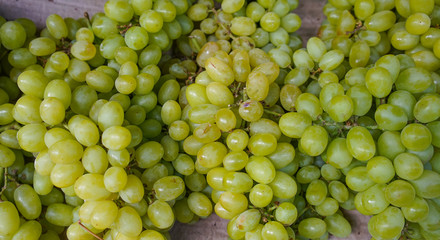 Ripe grapes on the farmer market