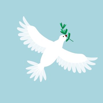 White pigeon with olive branch. Dove flying and holding a holly message. Symbol for peace, love, faith. Vector illustration.