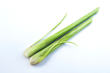 Lemongrass on a white background, Lemongrass leaves