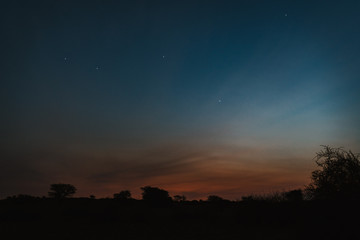 Classic African landscape sky of lone trees at night