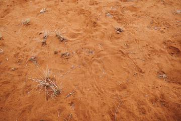 White Rhinoceros footprint in red savannah sand