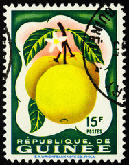 Grapefruit on postage stamp