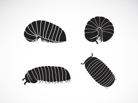 Vector of group of pill millipede worm(Oniscomorpha) isolated on a white background. Worm icon or logo., Glomerida. Insect. Animal.