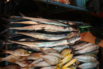 many fishes on the market