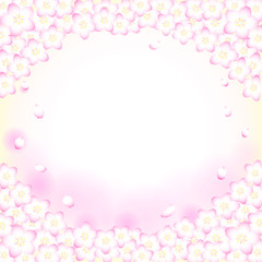 Fototapeta na wymiar 満開の桜と舞い散る花びらの背景（正方形）