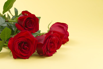 beautiful bouquet of red roses on light yellow background. The concept of st valentine's day, Mother's Day, March 8.