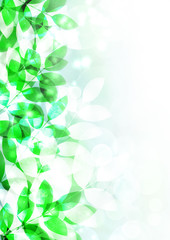 木漏れ日　新緑　空