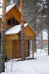 Woman sitting on snowy porch wooden rustic cottage in the winter woods. Portrait of a girl in a warm gray coat and burgundy knit scarf.
