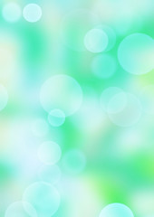 Obraz premium 木漏れ日 新緑 空
