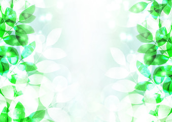 Fototapeta premium 木漏れ日 新緑 空