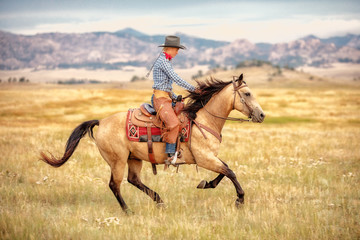 Cowgirl on Buckskin
