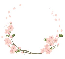 Cherry flowers- frame. Vector illustration, set of blooming sakura twigs © imagination13