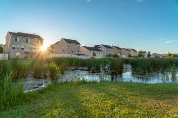 Fototapeta na wymiar Pond and green grasses with lovely houses and bright sun in the background