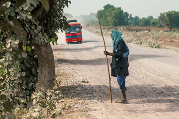 An old man waiting for the bus under the shade of a tree, outside a village or rural area of India.