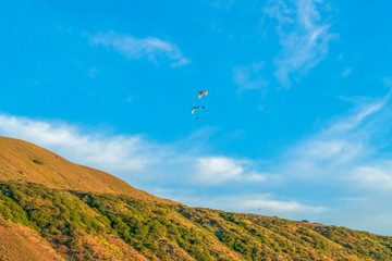 Fototapeta na wymiar Paragliders flying against blue sky and clouds over mountain with green plants