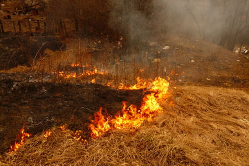 burning grass