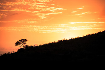 The sun rising at dawn over the hills of the Hluhluwe - imfolozi National Park in South Africa