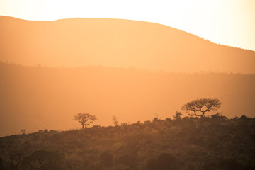 The sun rising at dawn over the hills of the Hluhluwe - imfolozi National Park in South Africa