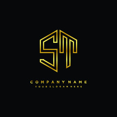 Initial letter ST, minimalist line art monogram hexagon logo, gold color