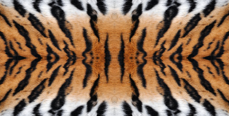 background animal tiger skin pattern © IgorCheri