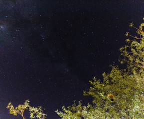 Fototapeta na wymiar starry sky with stars