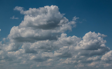Fototapeta premium Summer landscape. White clouds against a blue sky.