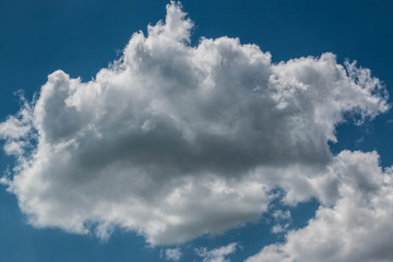 Fototapeta premium Summer landscape. White clouds against a blue sky.