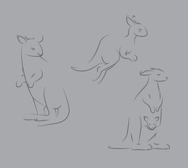 Kangaroo Line Art Conservation Style Animation Sequence Vector Illustration