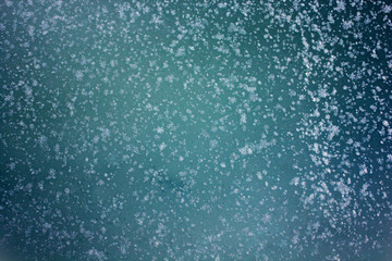 Fototapeta na wymiar background of snowflakes on a blue background