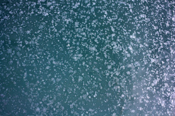 Obraz premium background of snowflakes on a blue background
