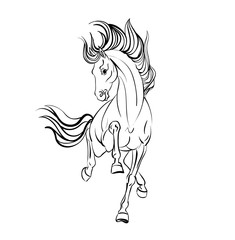 Horse pattern design. Vector illustration.
