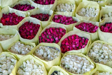 White and red roses at Bangkok flower market