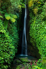 Waterfall landscape. Beautiful hidden Leke Leke waterfall in Bali. Waterfall in tropical rainforest. Slow shutter speed, motion photography.