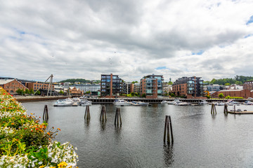 Fototapeta na wymiar View on the harbor of the Norwegian city of Bergen in summer