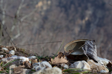waste in the nature