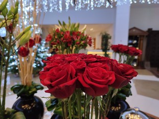 The red roses background for Valentine's day  or Mother day or Woman day post card or invitation. Aroma therapy cosmetic background. Beaty salon  or perfume cover backdrop.